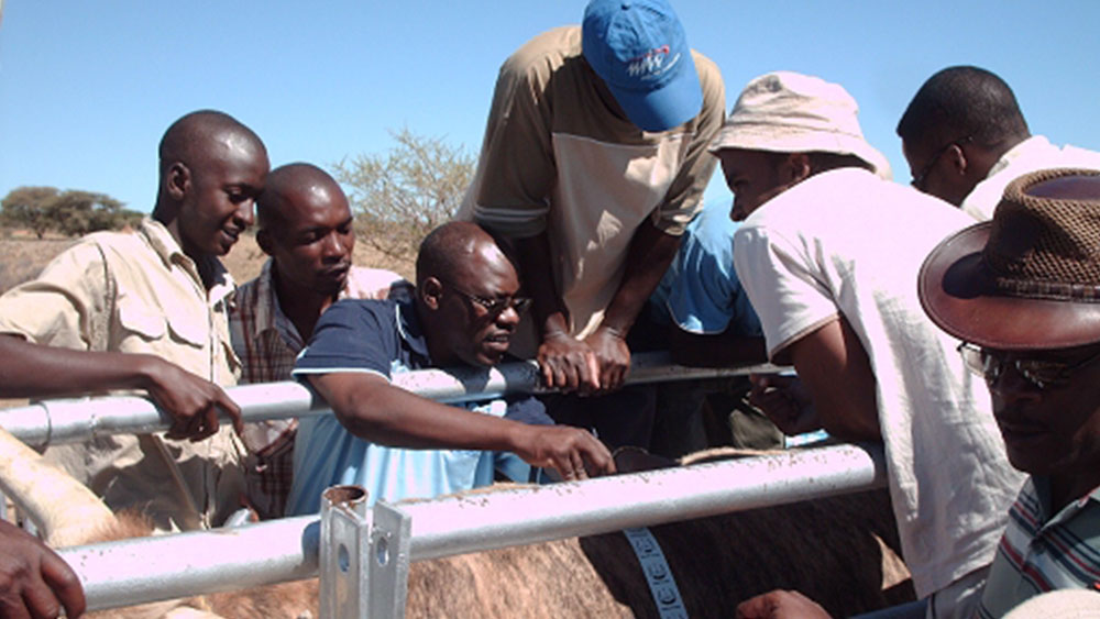 First “Future Farmers of Africa” Course Presented by CCF