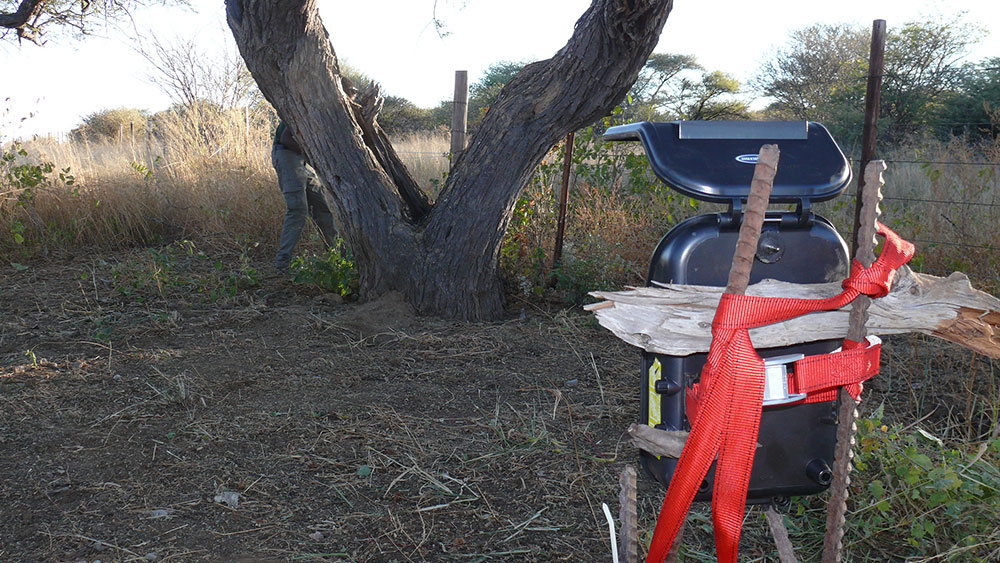 Camera-trap Study and Playtrees