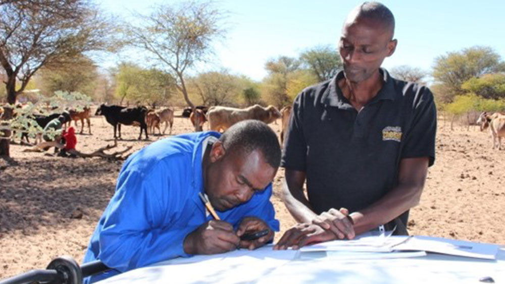 Livestock Guarding Dog Placements – Otjituuo and Tsumeb