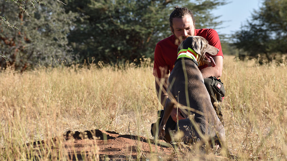 Featured Staff – Tim Hofmann – Scat Dog Handler, Research Manager and Research Coordinator