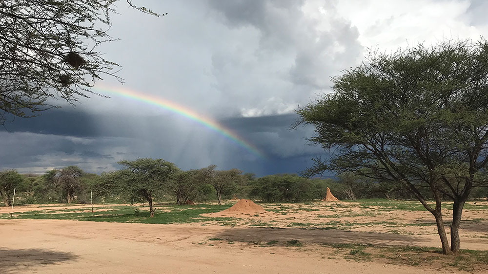 Stuck in the Mud – Field Work with the Ecology Team