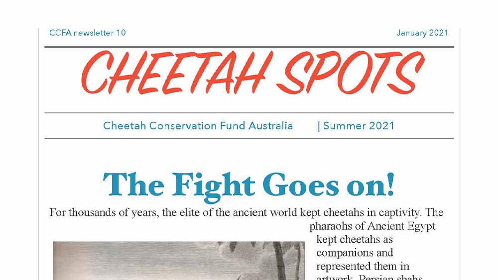 Cheetah Spots – Issue 10