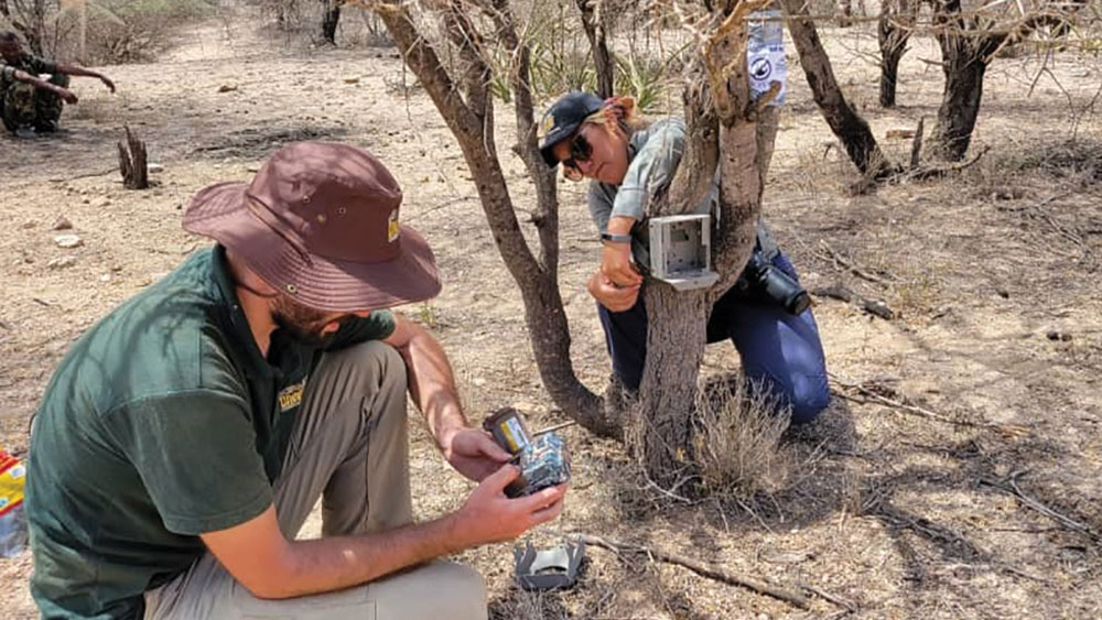 Researching the Cheetah to Build Better Conservation Strategies