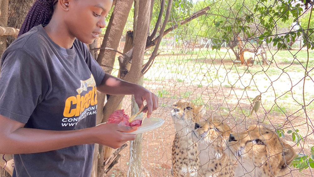 My Internship Assigned to the Cheetah Squad