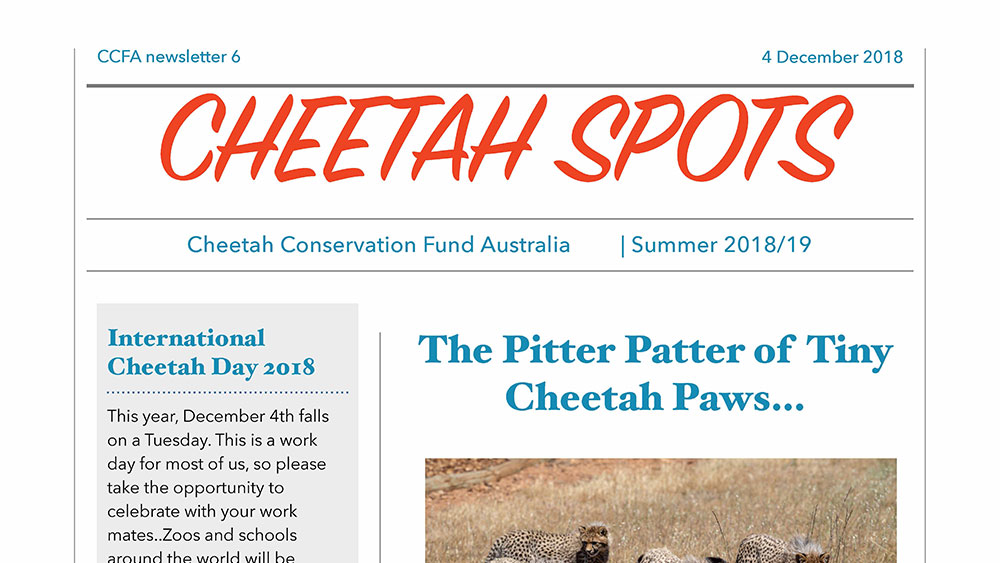 Cheetah Spots – Issue 6