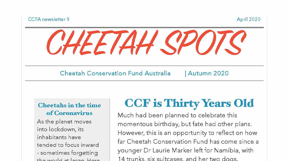 Cheetah Spots – Issue 9