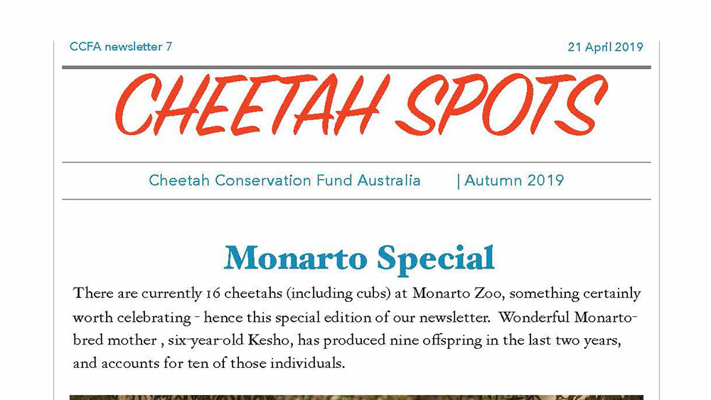 Cheetah Spots – Issue 7