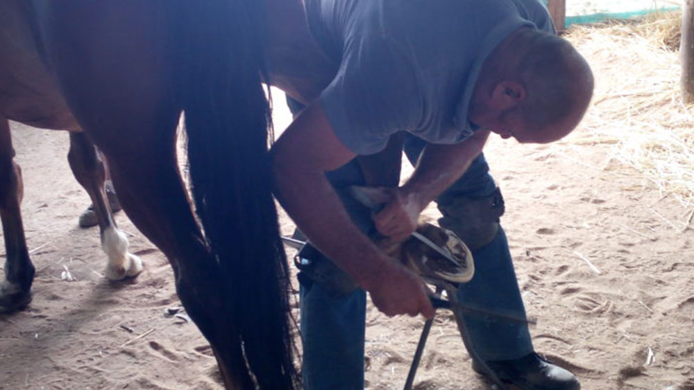 CCF Celebrates International Hoof Care Month